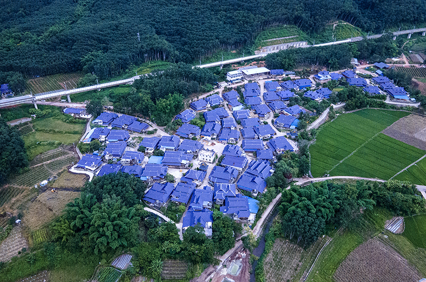 磨憨鎮(zhèn)曼莊村大龍哈小組現(xiàn)代化邊境幸福村新貌。人民網(wǎng)記者 符皓攝