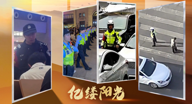 億縷陽光︱觸手可及的安全感