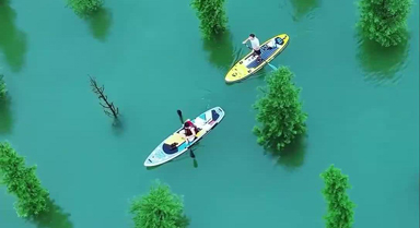 盛夏重慶的水上森林如翡翠秘境