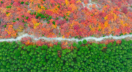 山東濟(jì)南：看秋色“平分”